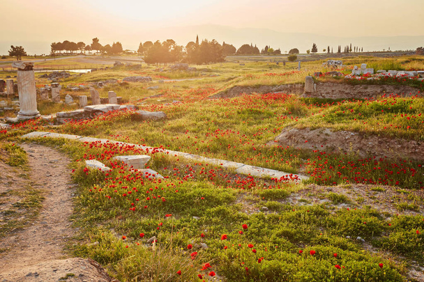 Kırmızı poppies, Türkiye'deki Pamukkale ve Hierapolis antik şehir kalıntıları. - Fotoğraf, Görsel