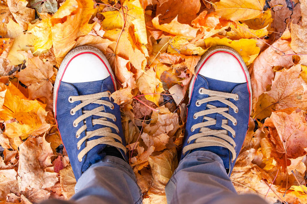 feet in sneakers on dry yellow foliage - Photo, Image