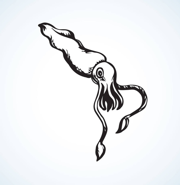 Squid. Vector drawing - Vector, Image