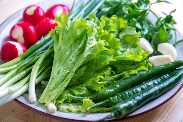 rabanete, salsa, cebola e outras verduras em um prato
 - Foto, Imagem