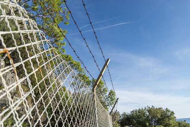 Anti-inbraak metalen gaas hek in een mediterraan bos - Foto, afbeelding