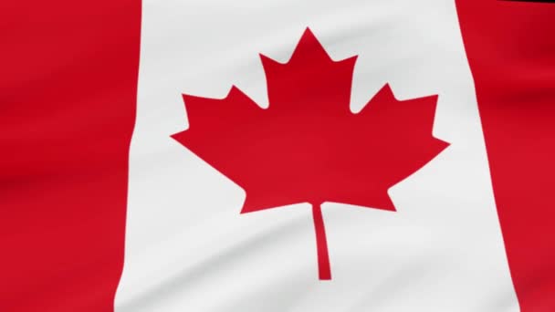 Kanada mávání vlajkami v vítr videozáznam realistické vlajka Kanada pozadí. Kanada příznak opakování Closeup - Záběry, video