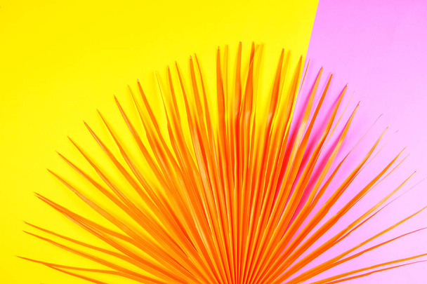 Φύλλο τροπικούς φοίνικες σε ροζ και κίτρινο φόντο. Επίπεδη lay, κορυφαία θέα, χρώματα ήπια τάση - Φωτογραφία, εικόνα