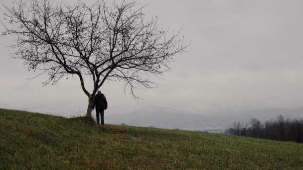 Man held branch a lone tree and goes in distance - Materiał filmowy, wideo