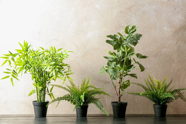 Renkli duvar yakın masada potted bitkiler. İç dekor - Fotoğraf, Görsel