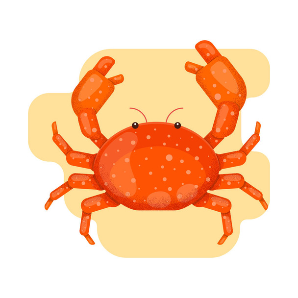 Crab in the sand. Vector illustration in flat style with grain texture. - Vector, Image