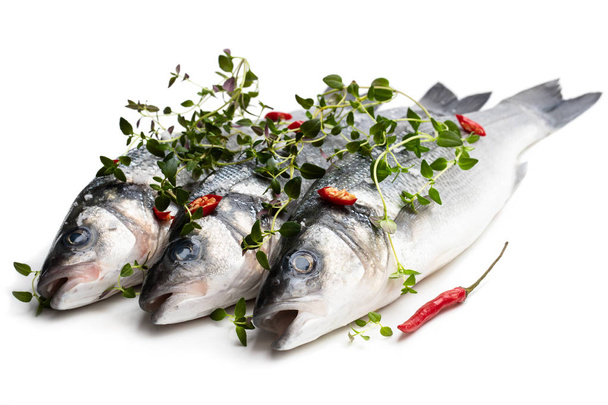 Verse hele zeebaars vissen met kruiden geïsoleerd op een witte  - Foto, afbeelding