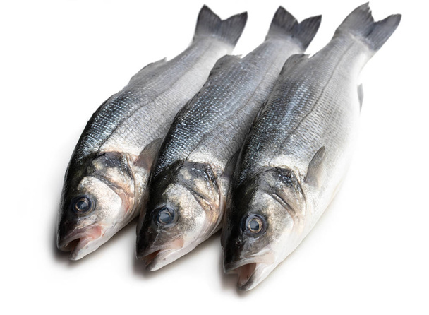 Fresh whole sea bass fish isolated on a white  - Photo, Image