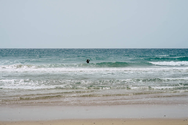 スペインの美しい海岸線: 紋白とビーチ、海、波  - 写真・画像