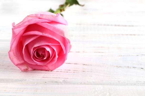 Rose on a white wooden background - Φωτογραφία, εικόνα