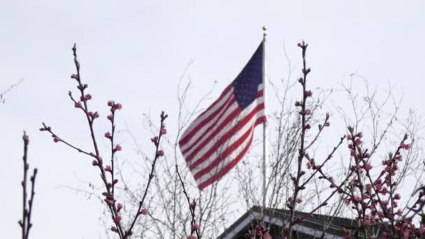 vlnící se vlajka ve větru nad jarní květy - Záběry, video