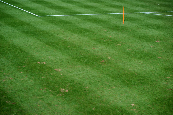 Fahnenmast auf dem Fußballplatz / das grüne Rasenfeld eines Fußballfeldes mit Fahnenmast vor dem 11m-Raum - Foto, Bild