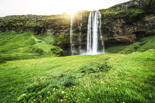 Magiczny wodospad Seljalandsfoss w Islandii. - Zdjęcie, obraz