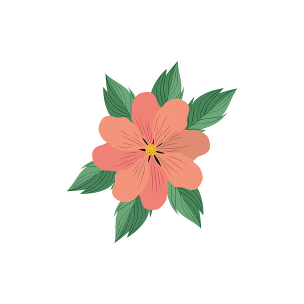 beautiful flowers with leafs isolated icon - Vecteur, image