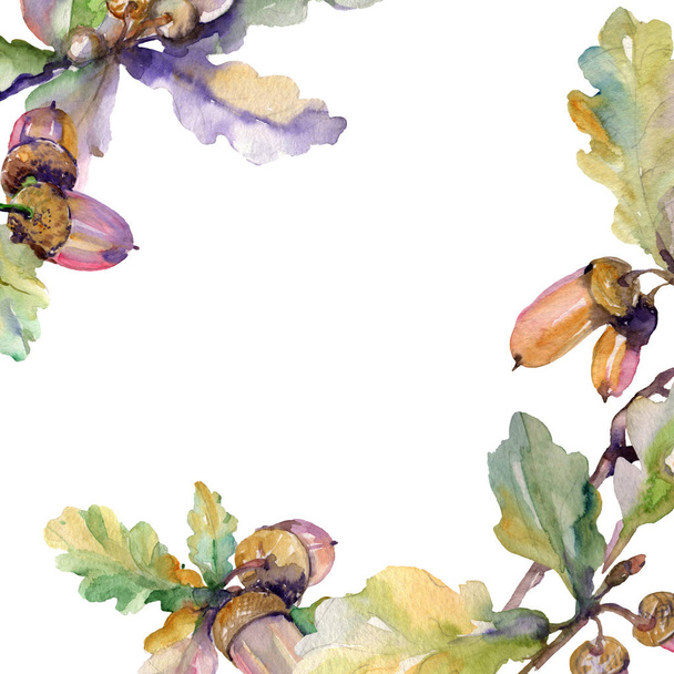 Acorn green leaves and nuts. Watercolor background illustration set. Frame border ornament square. - Foto, Imagen