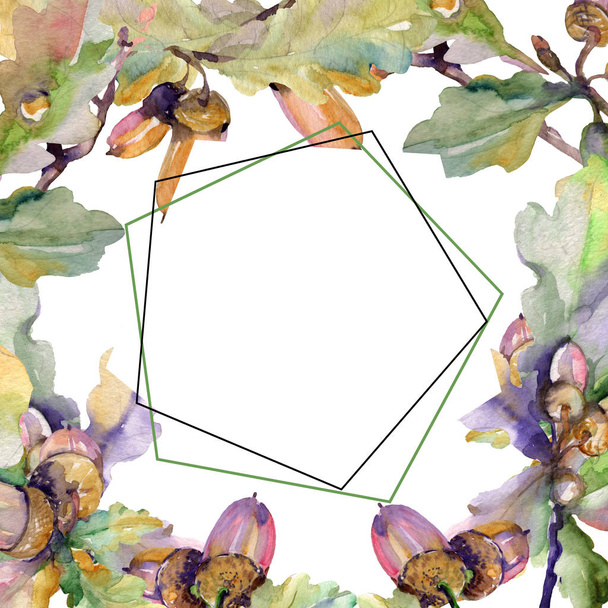 Eichelgrüne Blätter und Nüsse. Aquarell Hintergrundillustration Set. Rahmen Rand Ornament Quadrat. - Foto, Bild