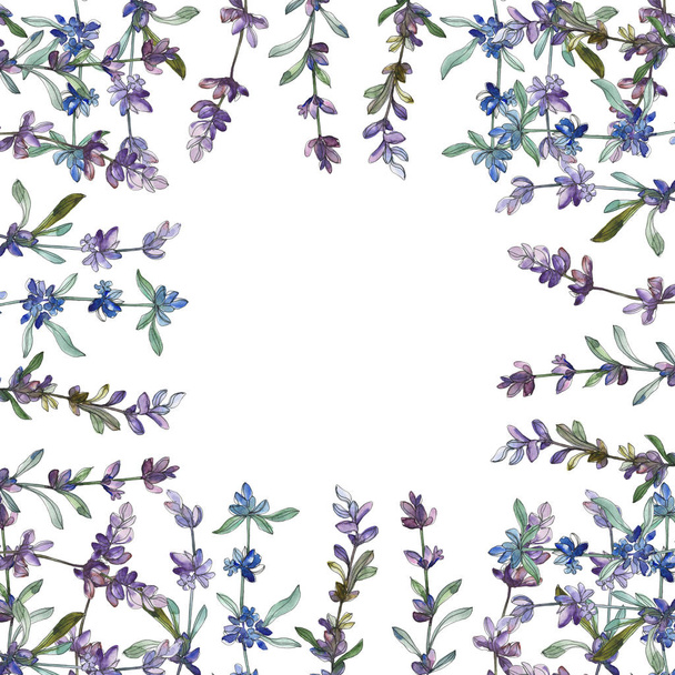 Purple lavender floral botanical flower. Watercolor background illustration set. Frame border ornament square. - 写真・画像
