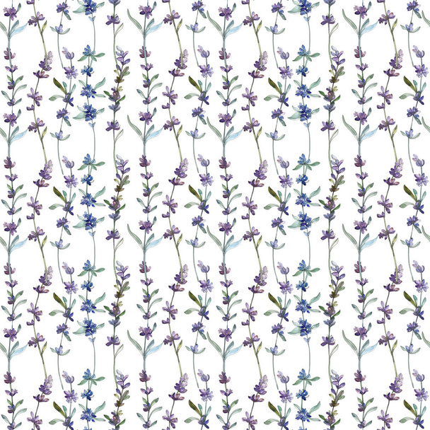 Flor botánica floral de lavanda púrpura. Conjunto de ilustración de fondo acuarela. Patrón de fondo sin costuras
. - Foto, Imagen