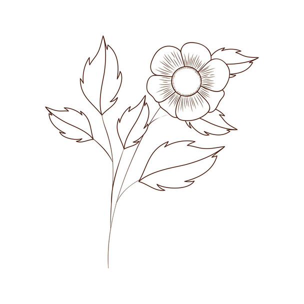 beautiful flowers with leafs isolated icon - Vetor, Imagem