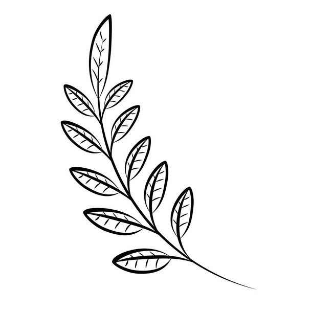 листья декоративные
 - Вектор,изображение