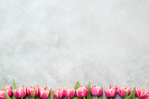 Pink peony tulips on grey concrete background - Foto, Imagem