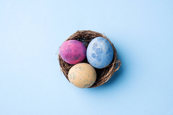 Colorful easter egg in the nest on blue background with copy space. Easter background. Minimalism - Zdjęcie, obraz