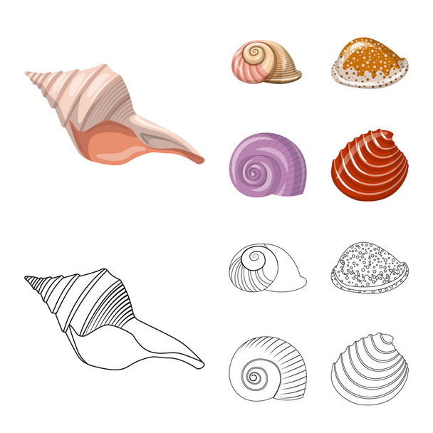 Vector design of animal and decoration symbol. Set of animal and ocean stock symbol for web. - Vetor, Imagem