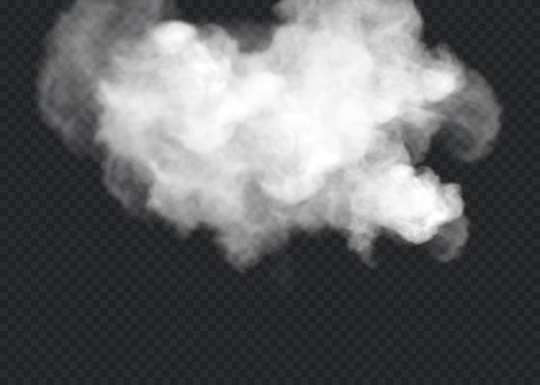 Effetto speciale trasparente si distingue con nebbia o fumo. Vettore di nubi bianche, nebbia o smog. - Vettoriali, immagini