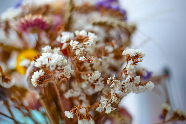 Bouquet of dried flowers on window. Close up. - Photo, Image