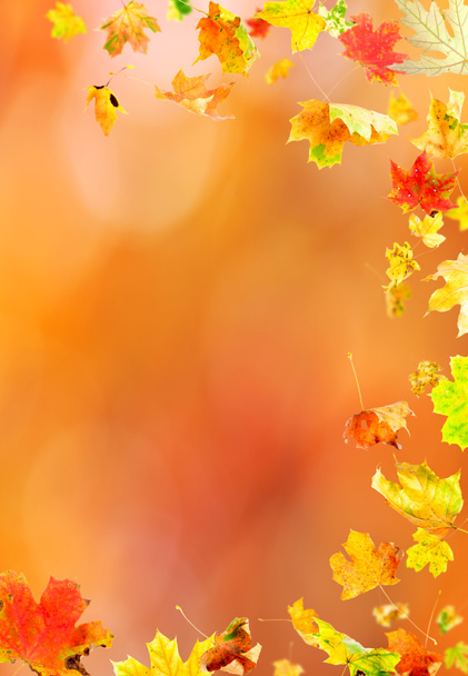 Падаючі листя клена
 - Фото, зображення