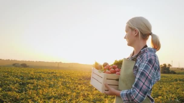 A young farmer with a box of vegetables goes across the field. Farm products - Video