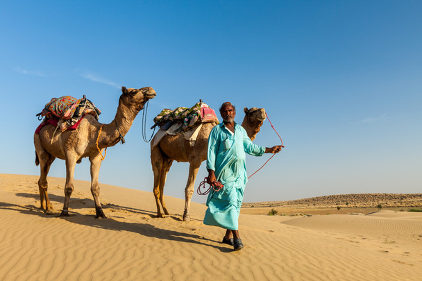 Cameleer (chamelier) avec chameaux dans les dunes du désert de Thar. Raj !
 - Photo, image