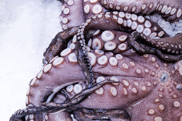 Lähikuva, Tuore orgaaninen violetti mustekala jäällä tuoremarkkinoilla, tausta. Mustekalan rakenne. Paljon luomumustekalaa
 - Valokuva, kuva