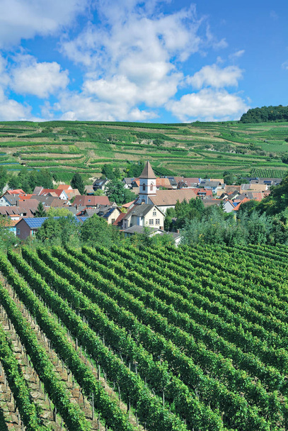 Οινικό χωριό αχλαδιά στην οινοπαραγωγική περιοχή Κρικστούλ, Μέλανα Δρυμού, Μπάντεν-Βυρτεμβέργη, Γερμανία - Φωτογραφία, εικόνα