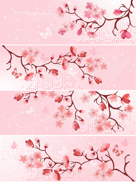 Cherry blossom, banner. - Vector, Image