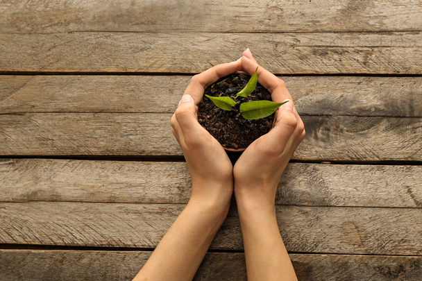 Vrouwelijke handen, die pot met groene plant op houten achtergrond - Foto, afbeelding