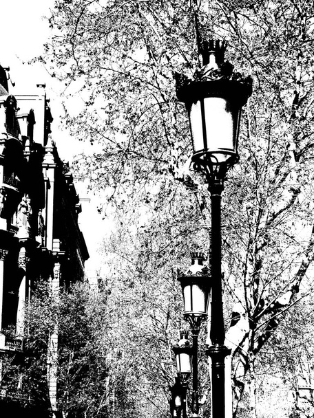 Farola típica de la ciudad de Barcelona, en la calle Paseo de Gracia
. - Foto, Imagen
