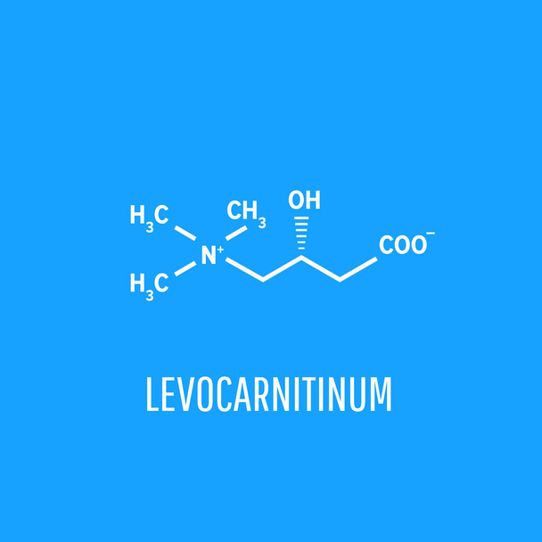 Levocarnitine biologische molecuul. Acetylcarnitine biologische molecuul - Vector, afbeelding