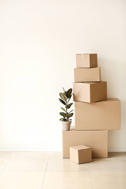 Moving boxes with plant near light wall - Φωτογραφία, εικόνα