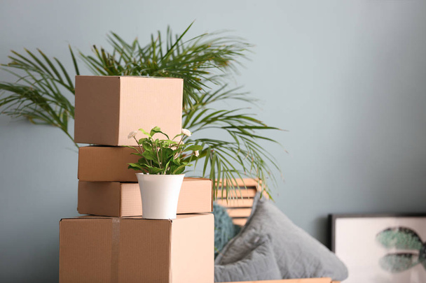 Moving boxes with belongings in room - Фото, зображення