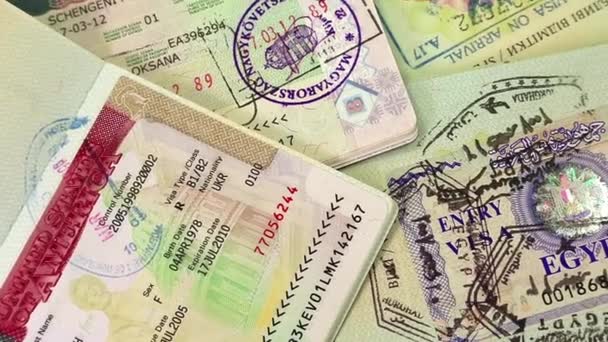 міжнародні паспорти із візами (США, Єгипет, Таїланд і шенгенських віз) - Кадри, відео