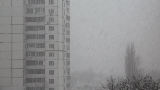 Снегопад в городе
 - Кадры, видео