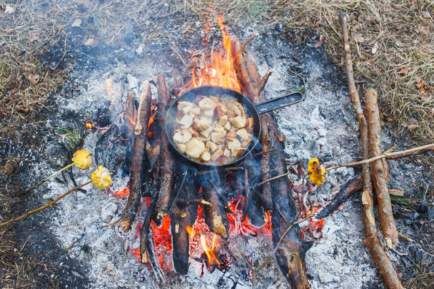 Cooking white mushrooms in a pan on a fire in the spring forest - Фото, зображення