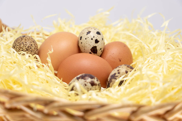 Uova di fattoria in un cesto di paglia. Uova di gallina e uova di quaglia
 - Foto, immagini