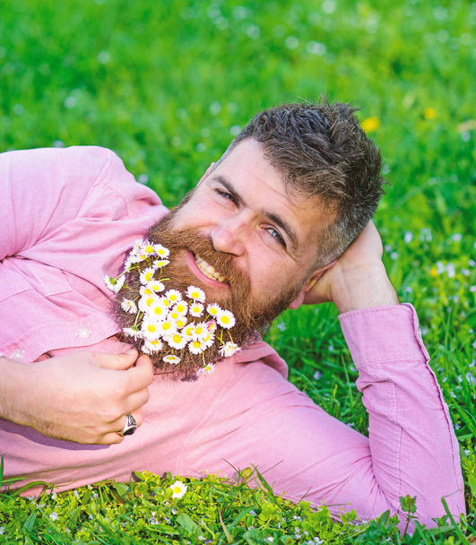 Man with beard on smiling face enjoy nature. Bearded man with daisy flowers lay on meadow, lean on hand, grass background. Masculinity concept. Hipster with daisies in beard looks attractive - Zdjęcie, obraz