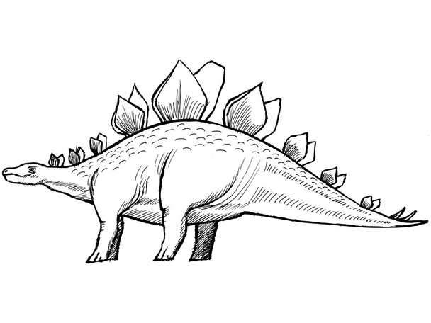 Estegosaurio
 - Vector, Imagen