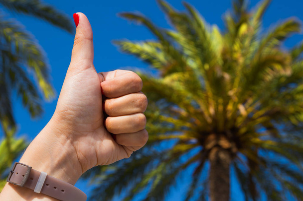 Woman showing thumb on a background of palm trees and blue sky - Фото, изображение