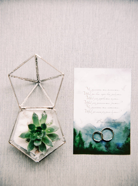 Golden wedding rings, greeting card and green plant - Foto, imagen