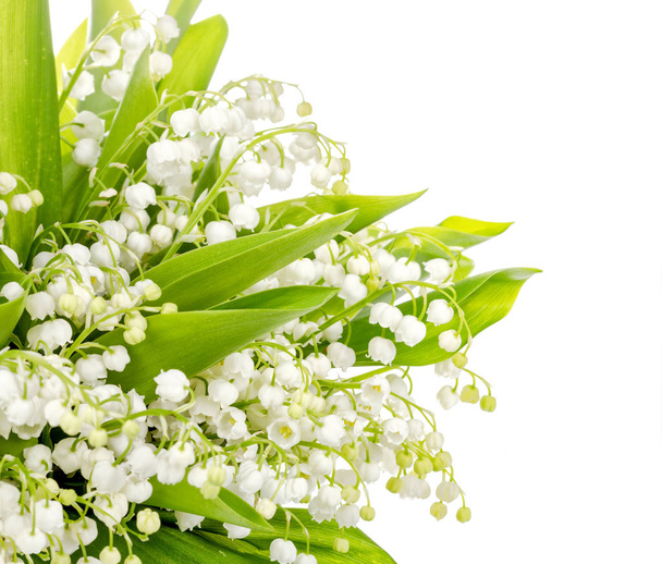 Bouquet of lily of the valley on white background - Valokuva, kuva