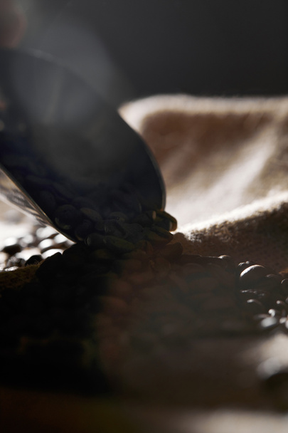 Selective focus of coffee grains and steel scoop on sackcloth - Foto, Imagen